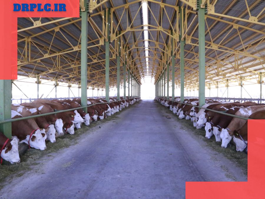 امکانات اتوماسیون گاوداری صنعتی